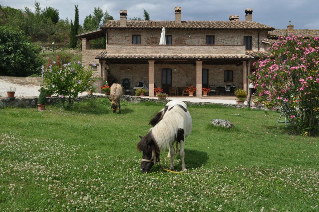 קולוואלנצה Farm Stay Il Carro Del Colle מראה חיצוני תמונה