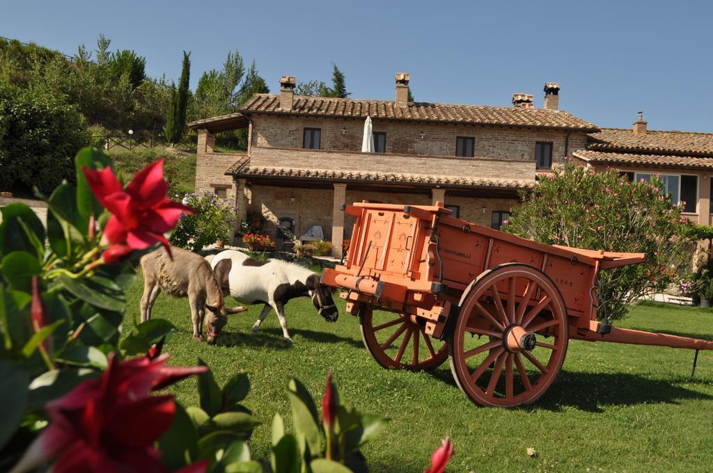 קולוואלנצה Farm Stay Il Carro Del Colle מראה חיצוני תמונה