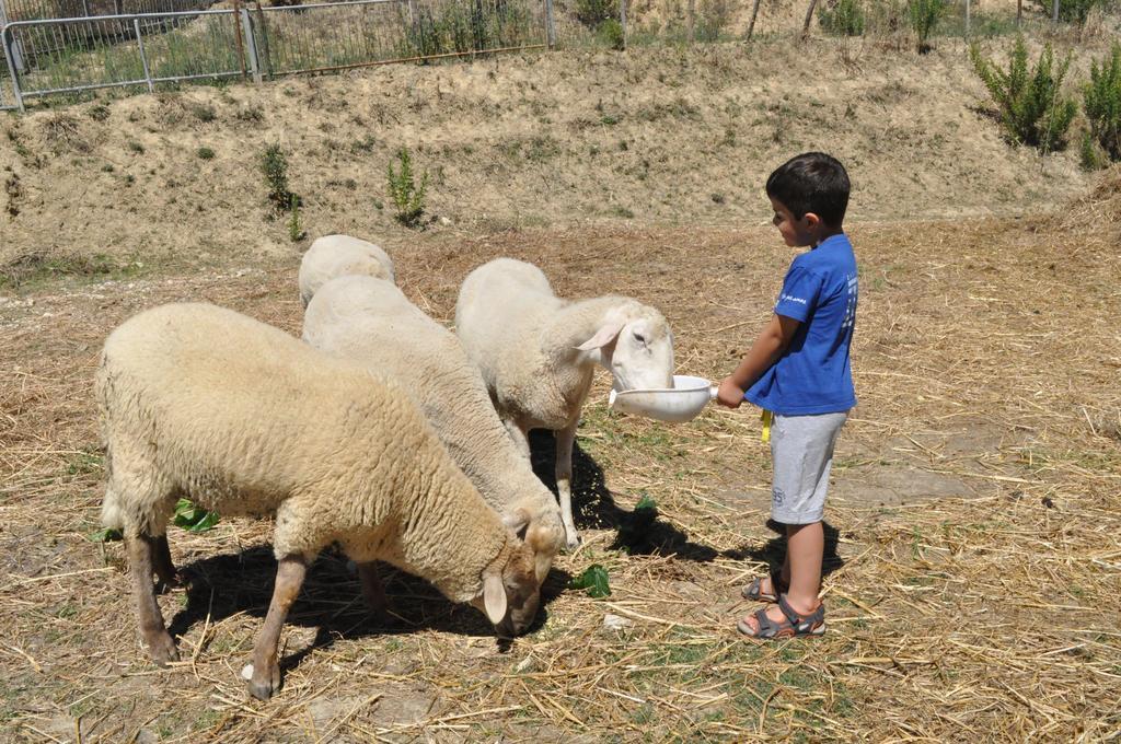 קולוואלנצה Farm Stay Il Carro Del Colle מראה חיצוני תמונה