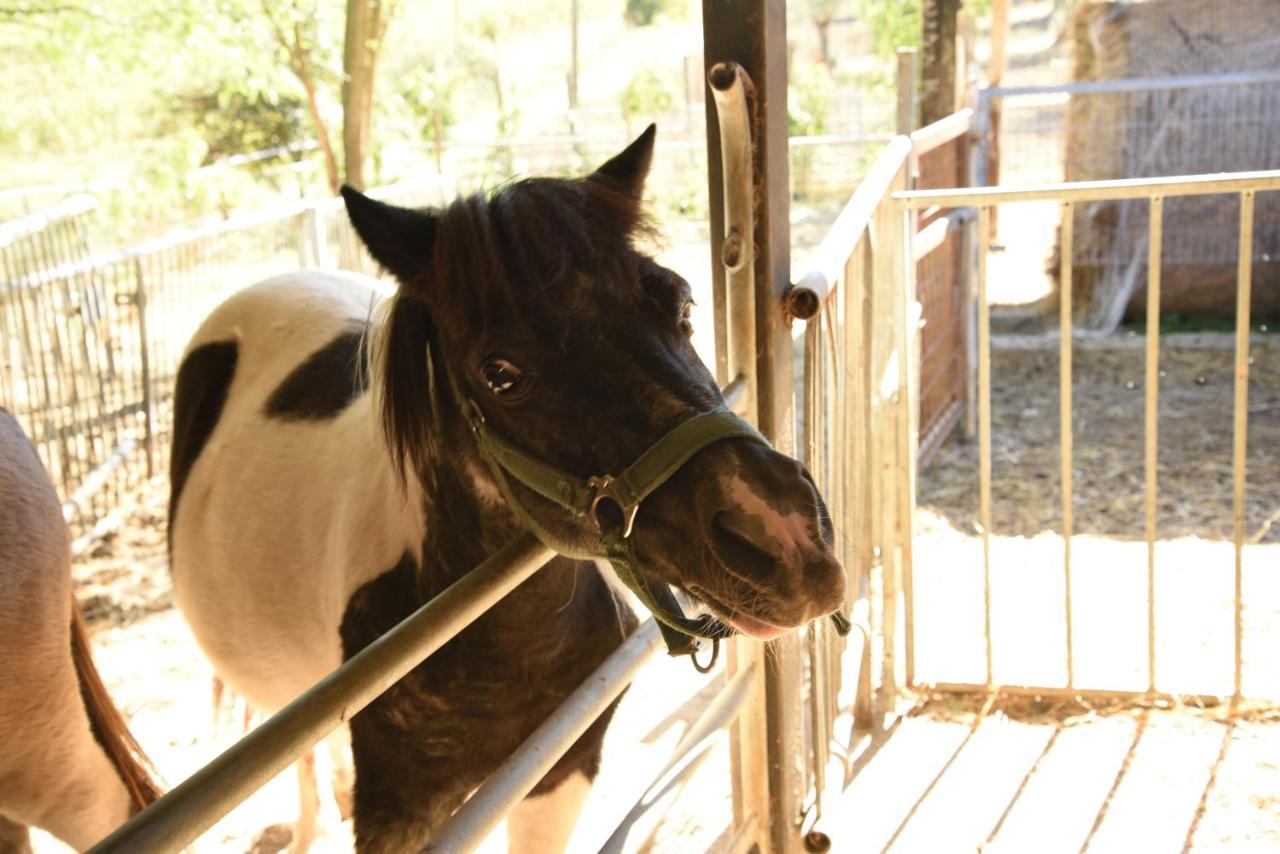 קולוואלנצה Farm Stay Il Carro Del Colle מראה חיצוני תמונה