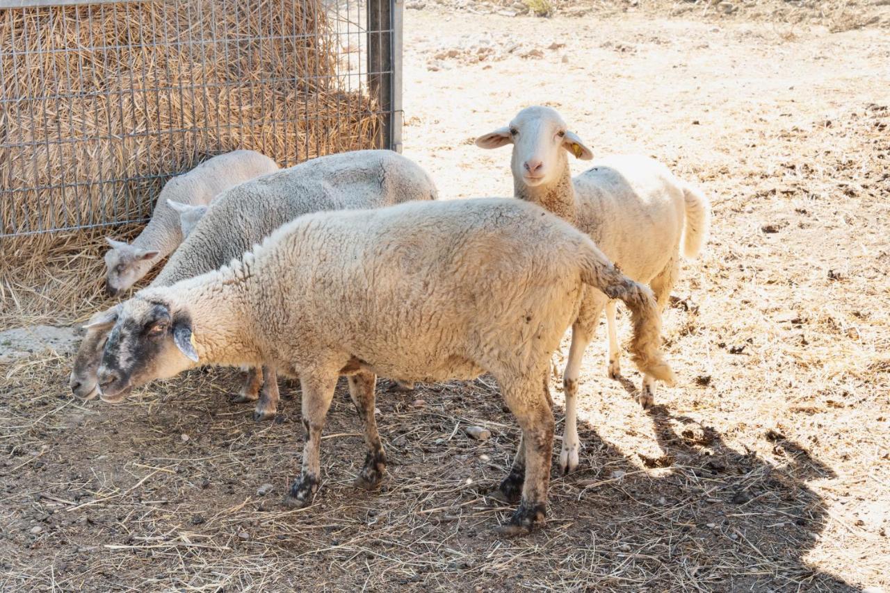 קולוואלנצה Farm Stay Il Carro Del Colle מראה חיצוני תמונה